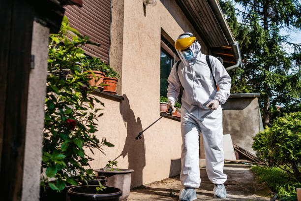 Best Pest Prevention Services  in Weston Mills, NY
