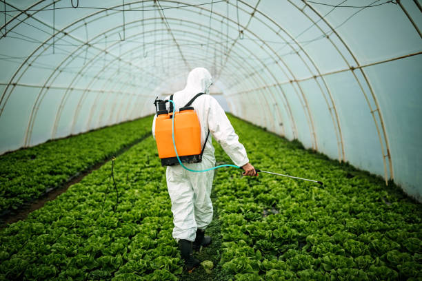 Best Commercial Pest Control Services  in Weston Mills, NY