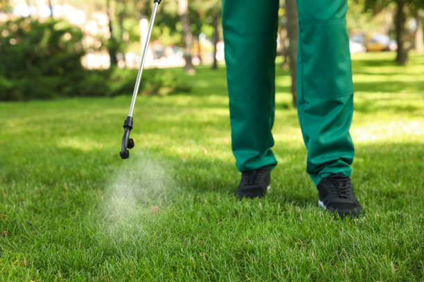 Best Rat Extermination Near Me  in Weston Mills, NY