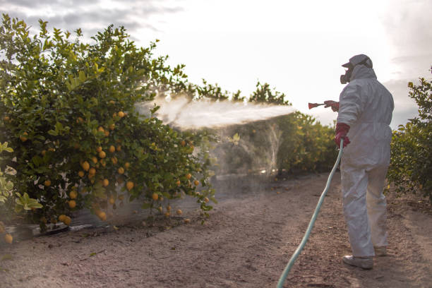 Best Emergency Pest Control  in Weston Mills, NY