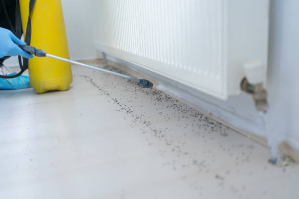 Best Pest Removal Services  in Weston Mills, NY