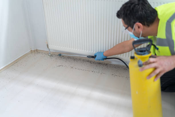Best Ant Control Services  in Weston Mills, NY
