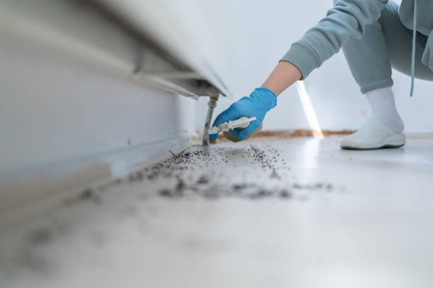Pest Prevention Services in Weston Mills, NY