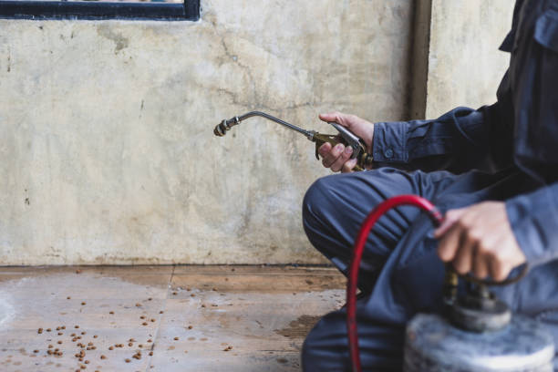 Best Local Pest Control Services  in Weston Mills, NY