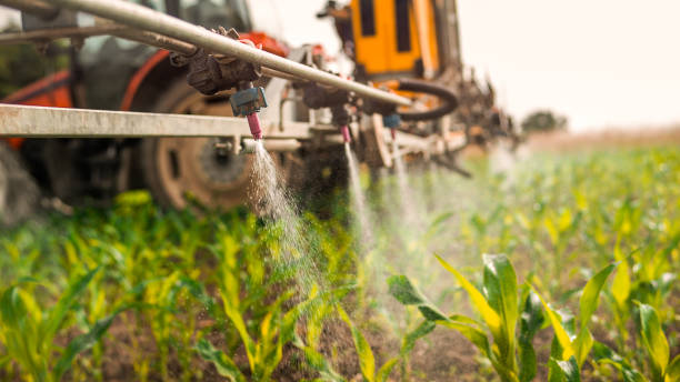 Best Mosquito Control Services  in Weston Mills, NY